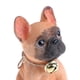 thumbnail image 4 of Modelo de Animal Doméstico de Simulación Perro de Resina en Miniatura de Imaginación para Niños Punteado, 4 of 7
