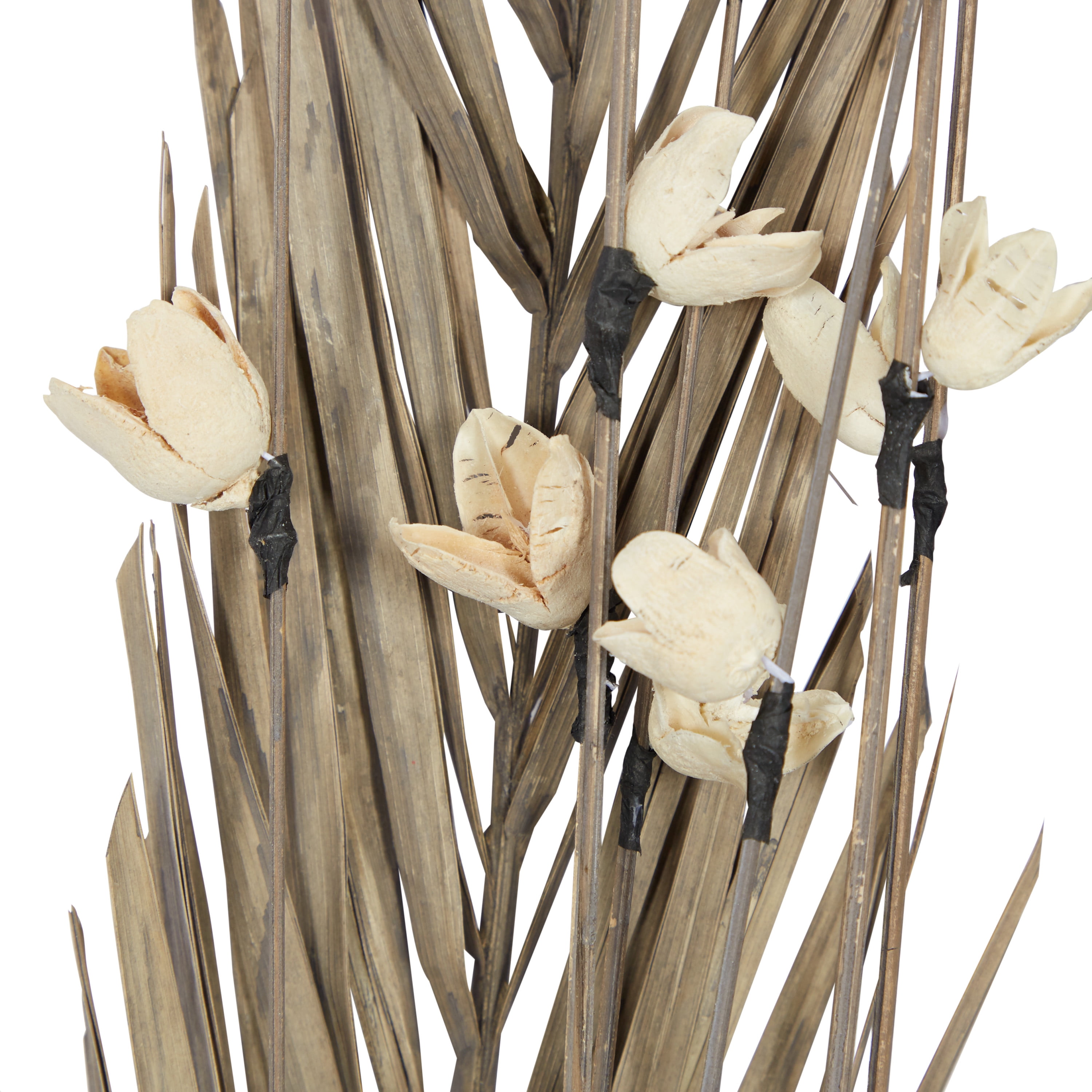 58" Dried Plant Natural Foliage Pigeon pea Bouquet, by DecMode (2 Count)