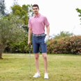thumbnail image 3 of Men's Golf Polo Shirts Short Sleeve Striped Performance Moisture Wicking Dry Fit Golf Shirts for Men, 3 of 6