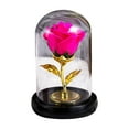 thumbnail image 2 of Eternal Rose in Glass Dome with LED Light, Romantic Night Light for Valentine's Day Gift, Illuminated Home Decoration for Bedroom and Special Occasions(Hot Pink), 2 of 6