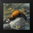 thumbnail image 2 of Weenink, Jan 12x12 Black Modern Framed Museum Art Print Titled - Beaver on a rock, 2 of 5
