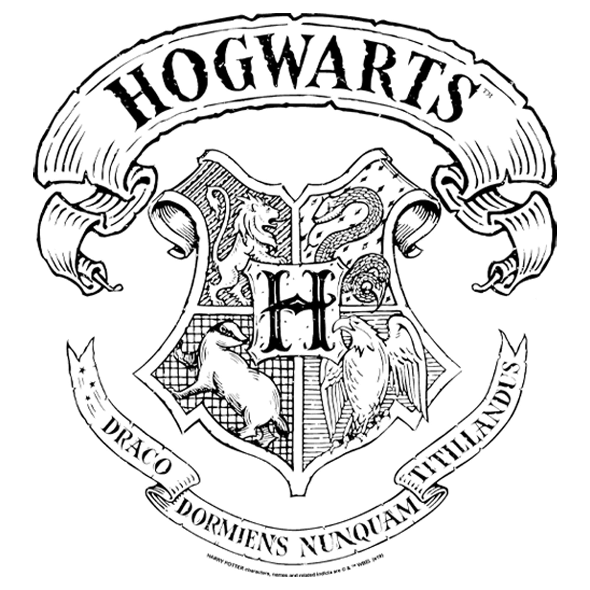 Men\'s Potter Hogwarts House White Crest X Graphic Large Tee 4 Harry