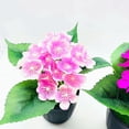 thumbnail image 4 of Visland Artificial Plants Bonsai Artificial Hydrangea Flowers in Mini Potted Plant for Home Party Wedding Office Table Décor, 4 of 4