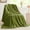 Green Apple, variant on flannel blanket3D Jacquard Decorative Throw Blankets for Couch & Bed, Soft and Cozy Warm Plush Fluffy Blanket All Seasons Suitable