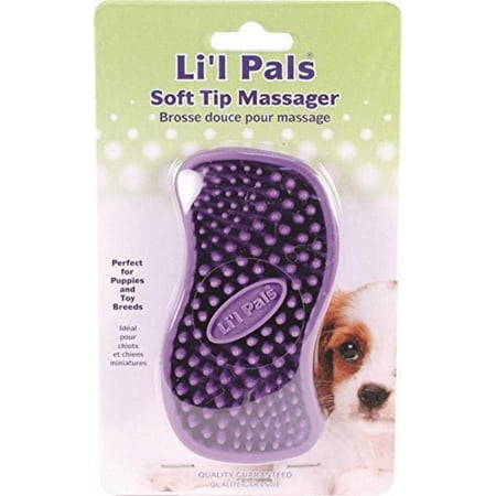 Coastal Pet Products Li'l Pals Soft Tip Massager Brush for Dogs, Perfect for puppies and toy breeds By (Best Brush For Cocker Spaniel Puppy)
