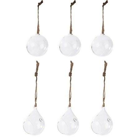 Juvale Hanging Glass Terrarium - 6-Pack 2-Design Orb and Teardrop Terrarium, Air Plant Holder for Succulent Plants, Tealight Candles, Christmas Indoor Outdoor House (Best Plants For Small Terrariums)