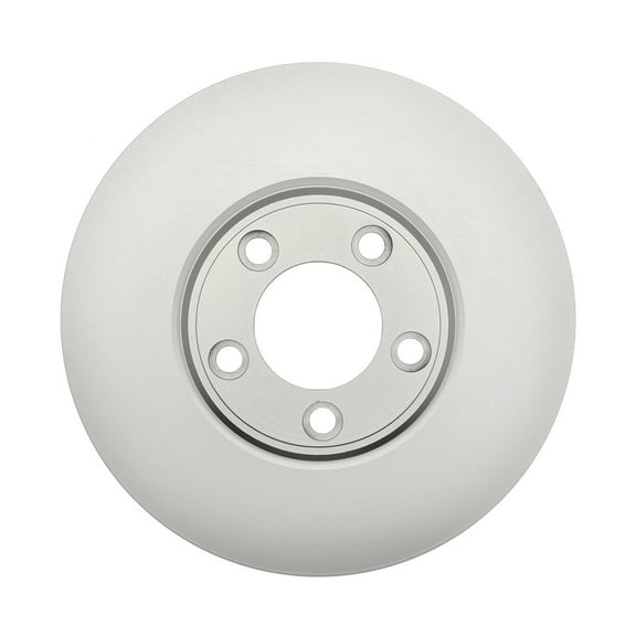 Raybestos 66841FZN Rust Prevention Technology Coated Rotor Brake Rotor, 1 Pack Fits select: 2002-2005 FORD THUNDERBIRD, 2000-2006 LINCOLN LS