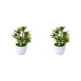 thumbnail image 1 of Guardoinrt Choose Favorite Colors Fake Potted Plants Designed For Any Room Artificial Plant Big Red Fruit 2Set, 1 of 6