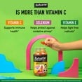 thumbnail image 5 of Airborne 500mg Vitamin C Immune Support Kids Gummies, Assorted Fruit Flavor, 63 Count, 5 of 14