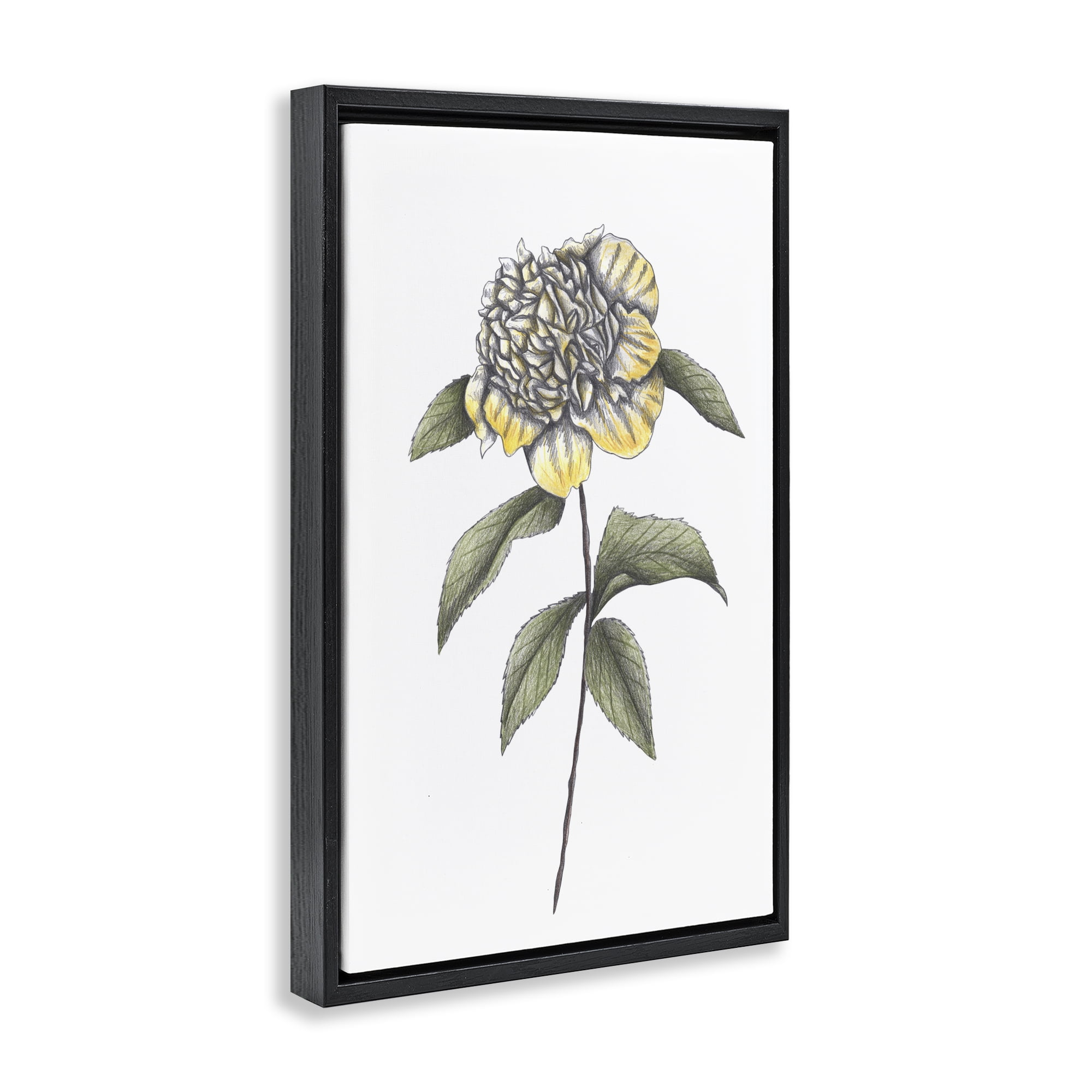 Camellia Flower Illustration Black Framed Floater Canvas Wall Art, design by Cecilia Battaini