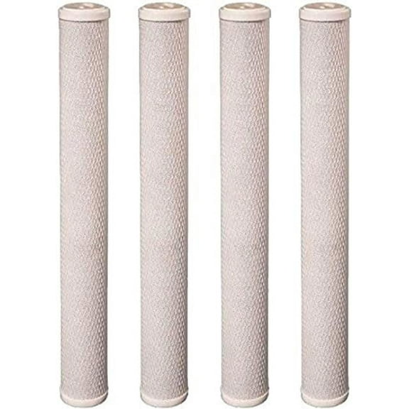 CFS – 4 Pack Carbon Block Water Filters Cartridge Compatible with CB-25-2010 Models – Remove Bad Taste & Odor – Whole House Replacement Water Filter Cartridge, 5 micron - 20" x 2.5", White
