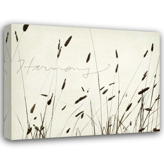 Amy Melious 35x28 Gallery Wrapped Canvas Wall Art Titled - Grass Harmony
