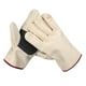 thumbnail image 4 of Guantes de lona para recoger y abrir durianes, equipo multiusos para recoger frutas, protección para las manos, guantes para jardinería y jardinería., 4 of 6