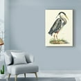 thumbnail image 3 of Trademark Fine Art 'Custom Great Blue Heron' Canvas Art by John Selby, 3 of 4