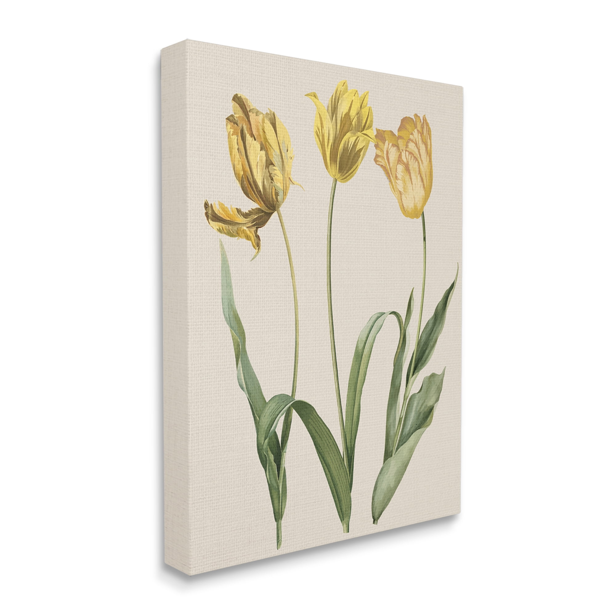 Stupell Industries Three Tulip Sprigs Botanical & Floral Painting Gallery Wrapped Canvas Art Print Wall Art, 24 x 30