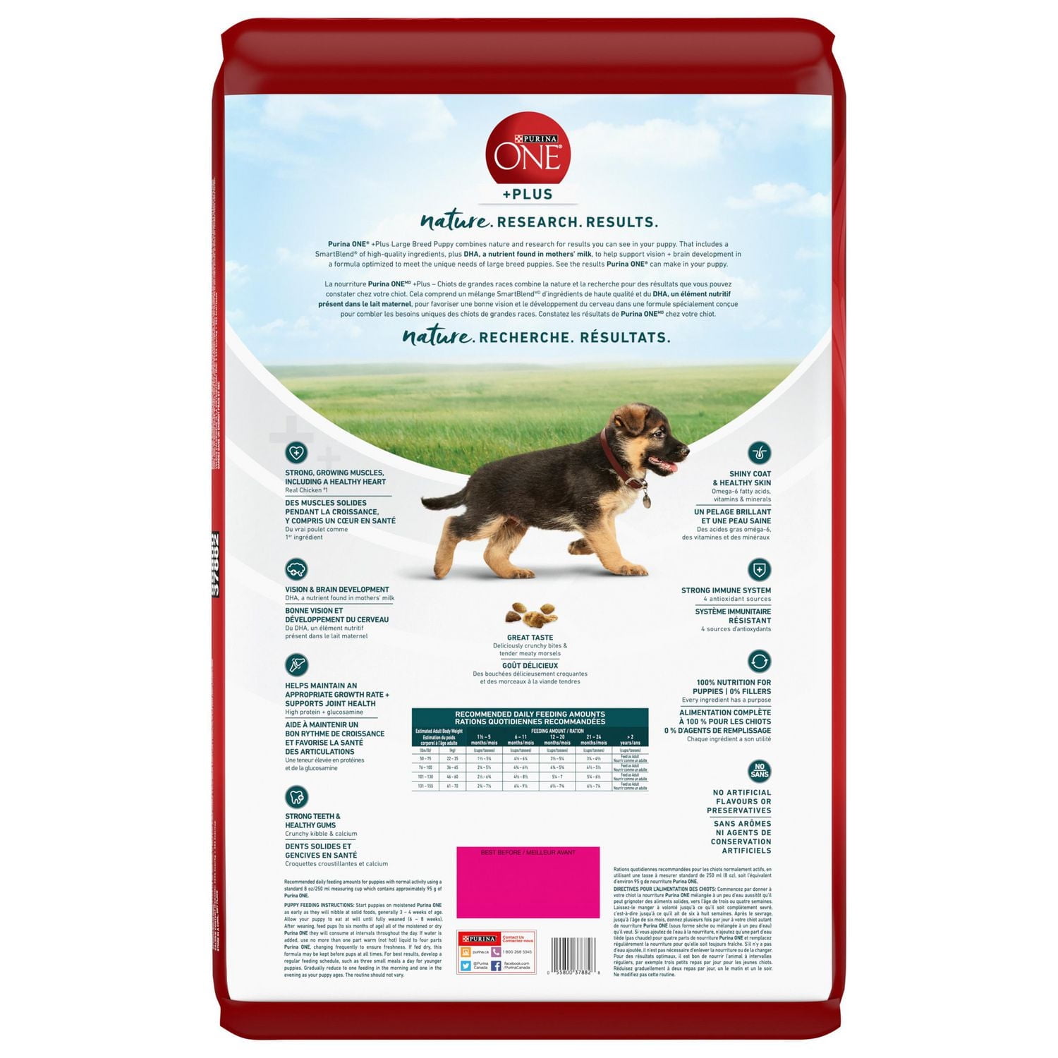 Purina ONE SmartBlend Large Breed Puppy Formula Chicken, Dry Dog Food 7 kg, 14 kg