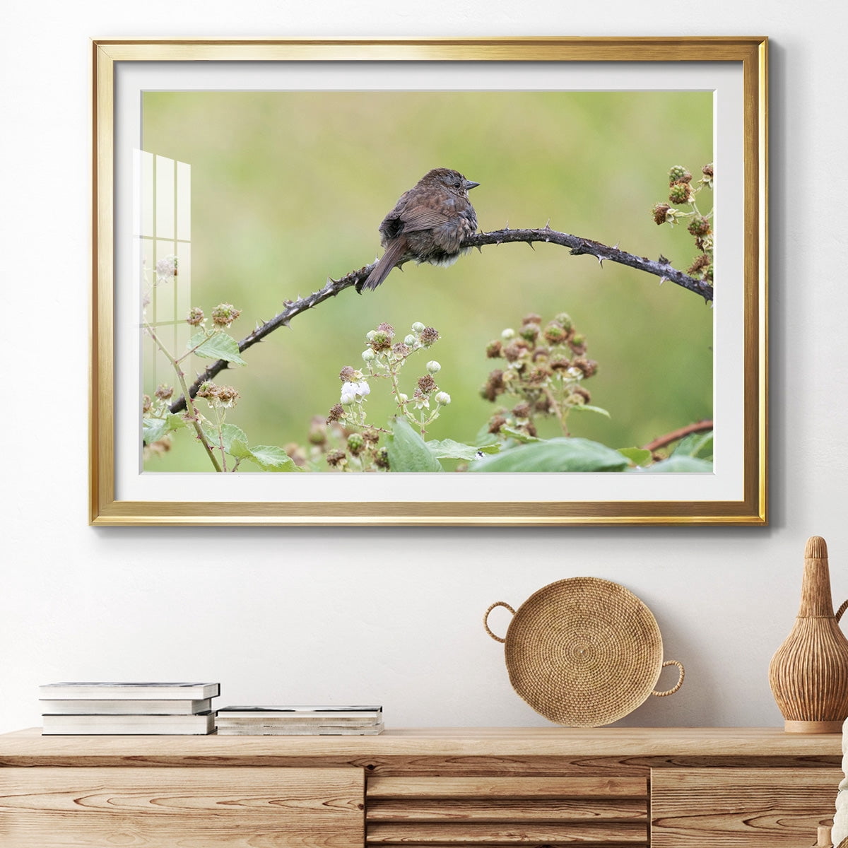Resting Sparrow Premium Framed Print - Ready to Hang