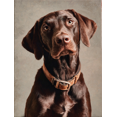 thumbnail image 1 of Qisvanset German Shorthaired Pointer Canvas Wall Art 15.75x11.81 Inches, 1 of 8