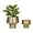 Gold Brushed Tapered Solid Round S/2 11", 8"H, variant on DecMode 7", 8", 10"H Brushed Gold Metal Planter (3 Count)
