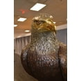 thumbnail image 4 of Nifao Large Eagle Standing On A Branch Bronze Statue – Garden Outdoor Decor Sculpture, 30"L x 40"W x 70"H, 4 of 11