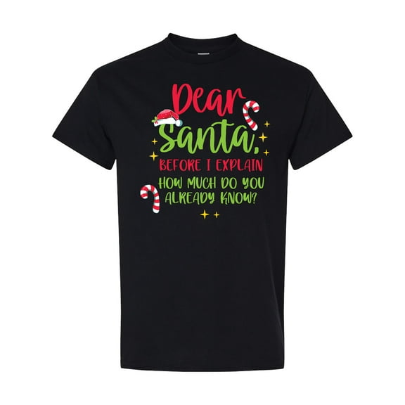 Inktastic Christmas Dear, Santa Before I Explain How Much Do You Know? T-Shirt