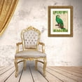 thumbnail image 3 of Lamanche, Stef 24x32 Gold Ornate Wood Framed with Double Matting Museum Art Print Titled - The Orange-Winged Amazon- After Levaillant, 3 of 4