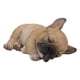 thumbnail image 1 of Figura Hi-Line Gift Ltd., cachorro de bulldog francés, 18 cm, para interiores, 1 of 6