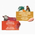 thumbnail image 6 of Purina Beyond Immune Health Wet Dog Food Ground Entree Chicken & Beef Flavors, 13 oz Cans (12 Pack), 6 of 12