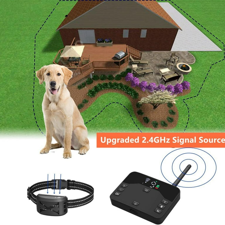 Wireless hotsell dog perimeter