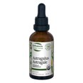 thumbnail image 3 of St-Francis - Astragalus, 50ml, 3 of 4