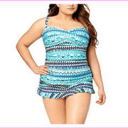 Profile by Gottex Plus Size Buena Vista Printed Tummy-Control Swimdress Size 18W