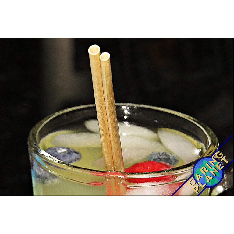 Hay! Straws Jumbo XL Drinking Straws | Plastic-Free | Compostable 1500 Straws Case