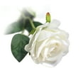 BESTYASH White Rose Simulation Flower for Valentine’s Day Engagement ...