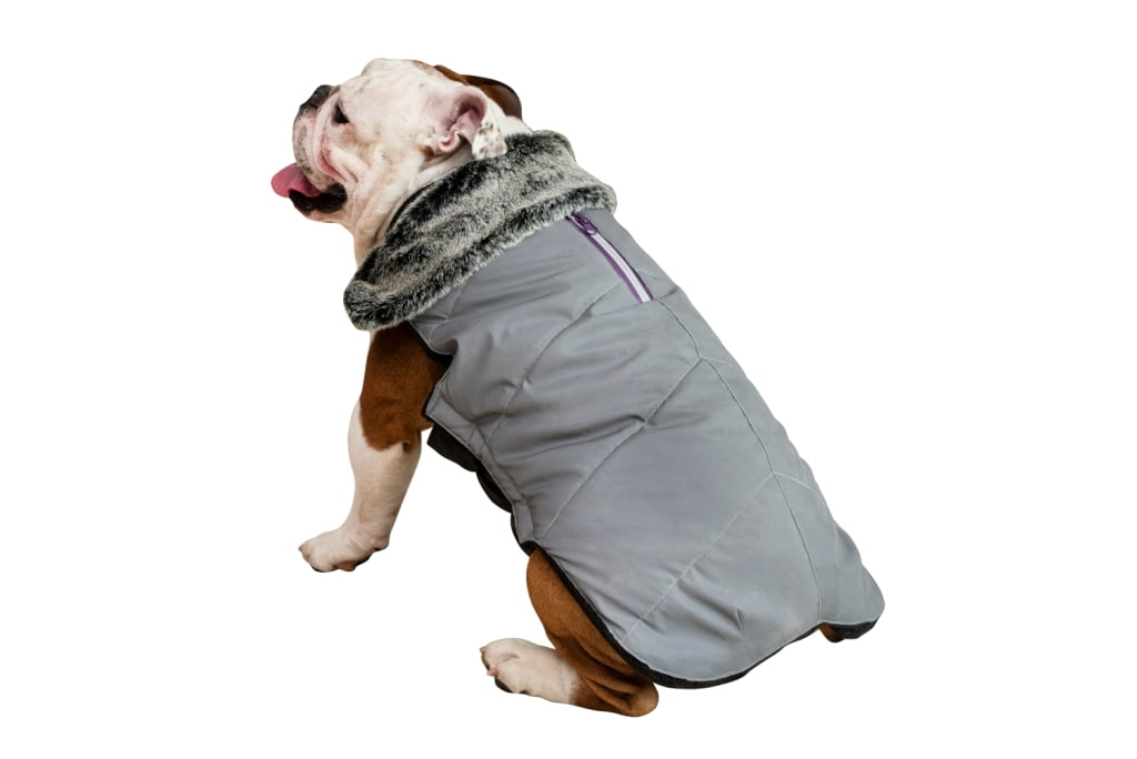 Vibrant Life Retro Reflective Dog Jacket, Gray, L