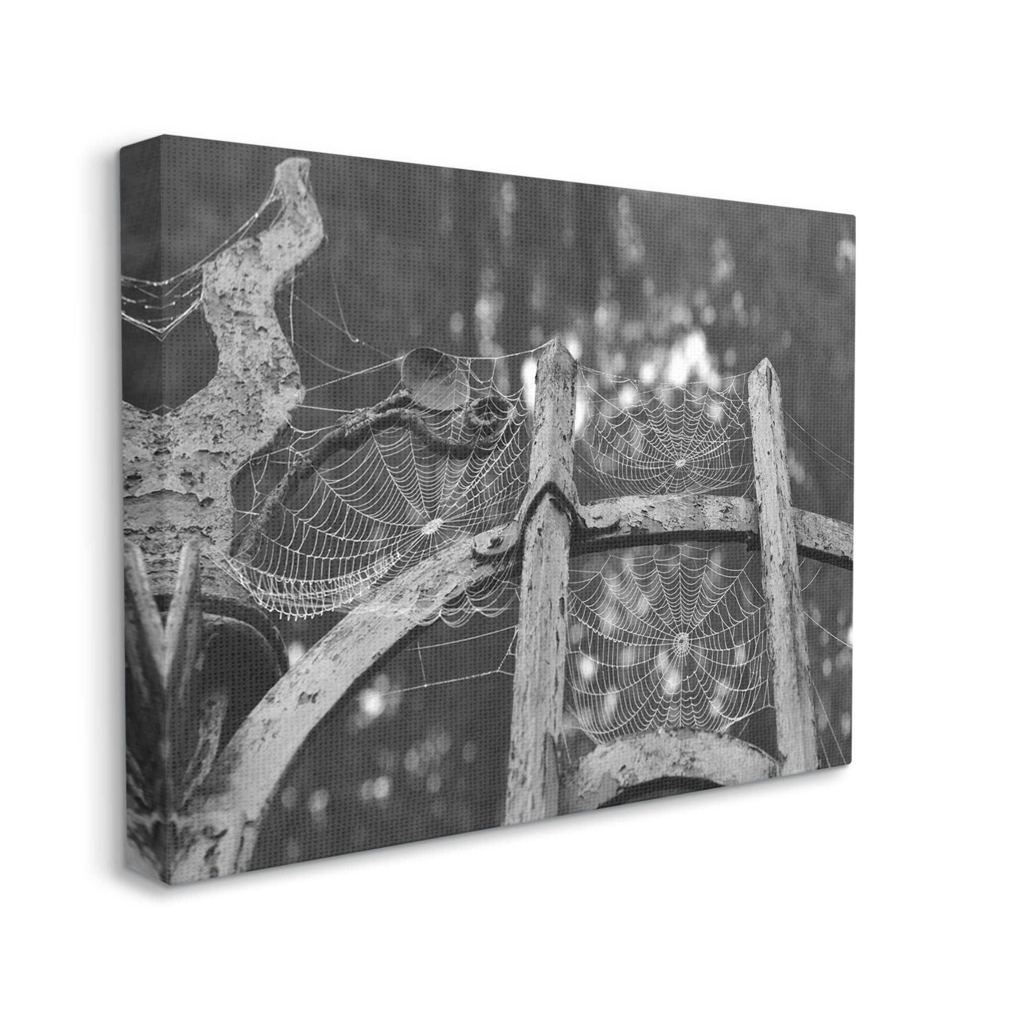 Stupell Industries Spooky Spider Webs Rustic Monochrome Gate Graphic Art Gallery Wrapped Canvas Print Wall Art, Design by Daphne Polselli