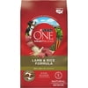 Purina ONE Natural Dry Dog Food, SmartBlend Lamb & Rice Formula - 31.1 lb. Bag