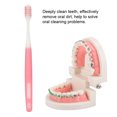 thumbnail image 1 of 3Pcs Soft Hair Toothbrush Teeth Stain Removal Tool Orthodontic Deep Cleaning Brush, 1 of 8