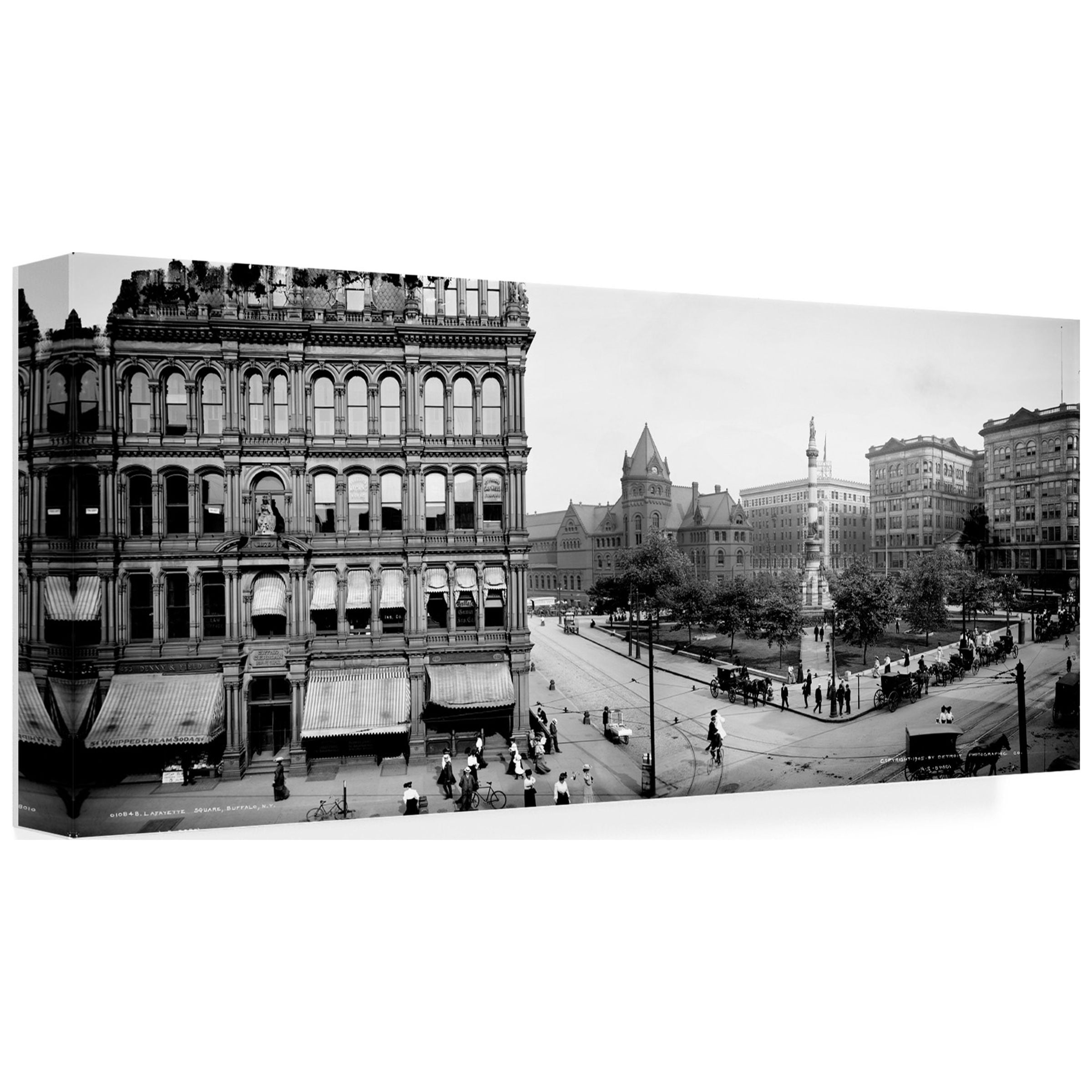 Print Collection 'Buffalo Panorama1' Canvas Art