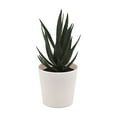 thumbnail image 2 of Clearance Artificial flowers under $5,Uguisu Small Mini Plants Succulents Artificial Succulents Plastic Simulation Plants Pots Bathroom Farmhouse Cubicle Decoration., 2 of 9