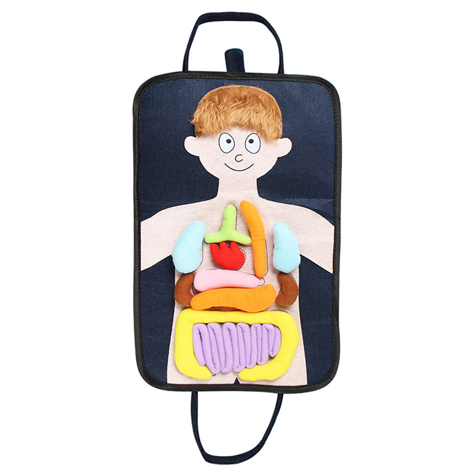 Famure Human Body Educational Toys Awareness Educational Anatomy Human