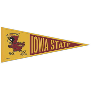  WinCraft Iowa State Cyclones Official NCAA 20 inch