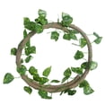 thumbnail image 1 of Lizards Jungle Climber Flexible Bendable Artificial Plant Terrarium Branch Reptile Vines Fake Rattan 3M A, 1 of 8