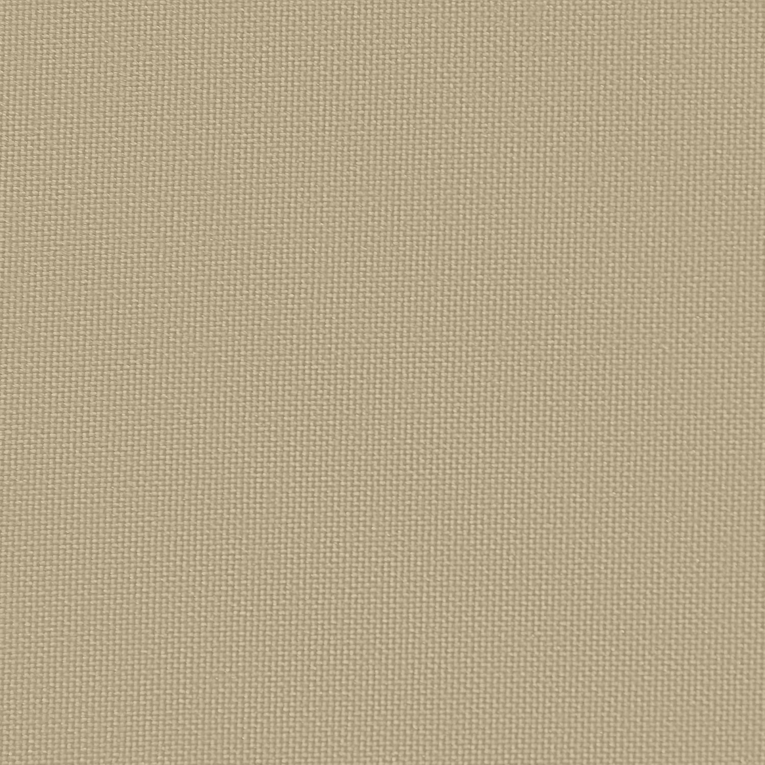 1823 New Beige
