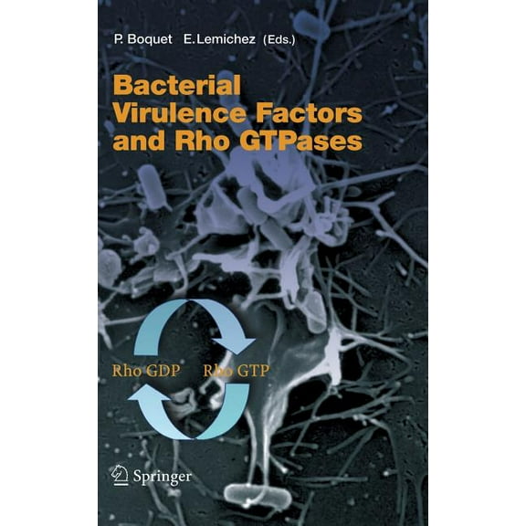 Current Topics in Microbiology and Immmu Bacterial Virulence Factors and Rho Gtpases, Book 291, (Hardcover)