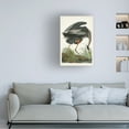 thumbnail image 3 of John James Audubon 'Great Blue Heron' Canvas Art, 3 of 3