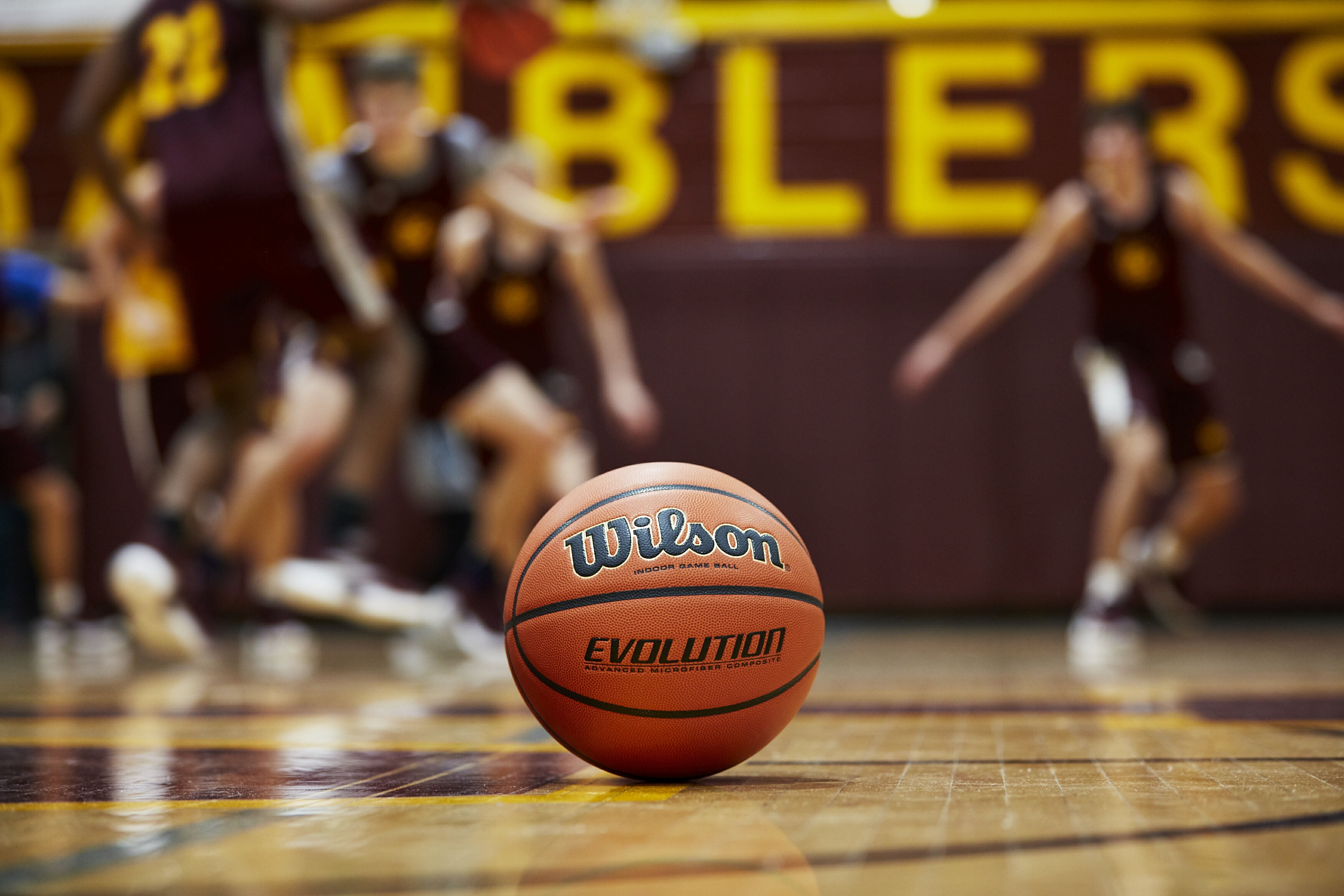 Wilson evolution basketball deals