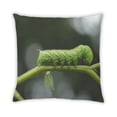thumbnail image 2 of Ahgly Company Coussin Extérieur Anti-Insectes, 18 Pouces par 18 Pouces, 2 of 6