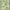 Green, variant on Findosom Vintage Area Rug 5x7 Washable Living Room Rug,Non-Slip Soft Floor Carpet Rug Stain Resistant Distressed Indoor Rug for Living Room Kitchen, Entryway, Dining Room Orange