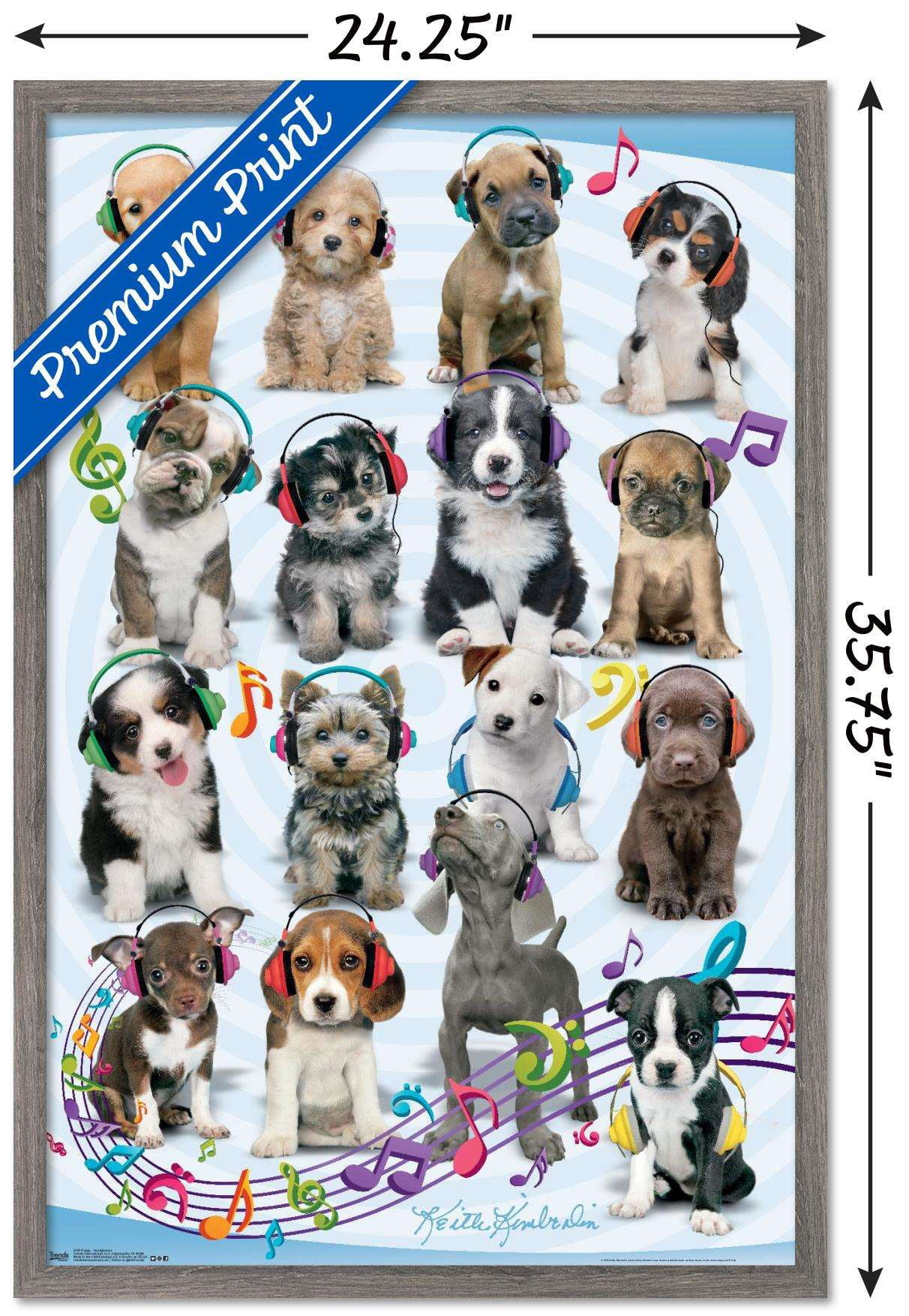 Keith Kimberlin - Puppies - Headphones Wall Poster, 22.375" x 34", Framed