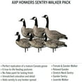 thumbnail image 3 of Avian X AXP 6 Piece Honker Sentry Walker Realistic Hunting Decoy, 3 Pack, 3 of 9